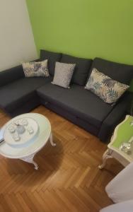 Whole Apartment 52 square meters in the neigboor of Pagrati in Athens