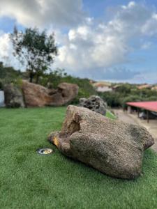 Luxury Villa in Porto Cervo