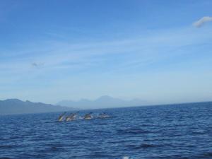 Wake up to the Sea of Bali Beachfront luxury plus