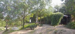 Campings Hebergements bohemes pleine nature : photos des chambres