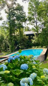Arriendo en Pucón, Condominio piscina y naturaleza