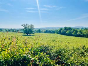 Fermes Domaine Le Rianon : photos des chambres