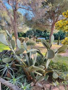 Le Boulouris - stylish T2