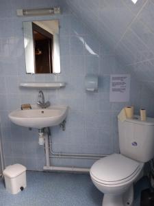 Maisons de vacances Gite grande famille Alisiers : photos des chambres