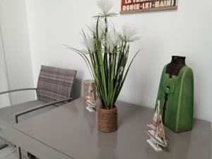 B&B / Chambres d'hotes Chambre La Cote Sauvage : photos des chambres