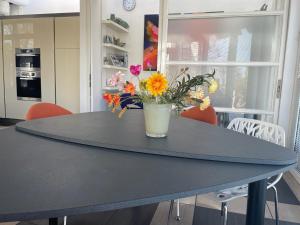 Lovely house on the water near Amsterdam