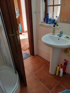 Villa Centro Vila T3 Backyard