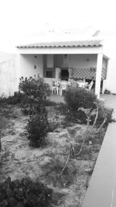 Villa Centro Vila T3 Backyard