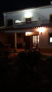 Villa Centro Vila T3 Backyard