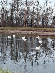 Nice tourist apartment