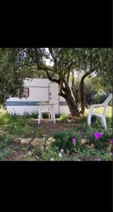 Caravana acogedora con piscina "Amantes de la naturaleza"