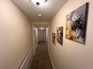 Ground Floor 2 Bedroom Apt, Onsite Parking, Edge of Glastonbury and Street