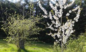 B&B / Chambres d'hotes Chambres d'Hotes Entre Deux Rives : photos des chambres