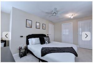 Regatta 10 day stay ONLY from 26th June