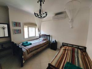 Telal Twin House