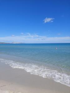 Il Nido 1 di San Pietro img15