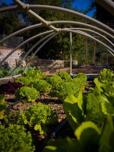 Marmaris Tiny House Olea Gökbel