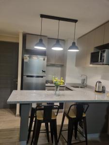 Departamento moderno y central en Chillan