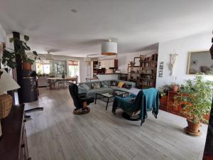 Villa with pool near sea and garrigue