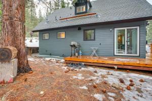 Backyard Forest Retreat