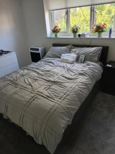 Eitihad room