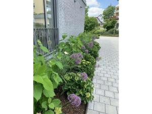 1-bedroom holiday apartment