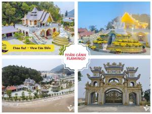 Flamingo Hải Tiến Khách sạn 5 sao View biển xanh ngọc Nghỉ dưỡng đẳng cấp, tầng 15 ôm trọn View biển