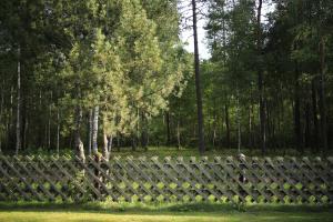 Secluded private villa in the middle of the woods