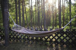 Secluded private villa in the middle of the woods