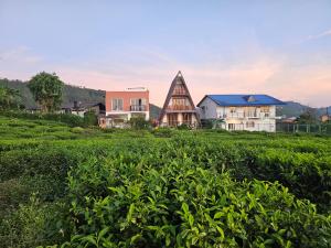 Green Valley Cabin Nuwara Eliya