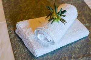 Guesthouse Enastron Pelion Greece
