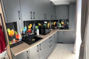 ALEXXA Family Studio Meraki Resort & Spa