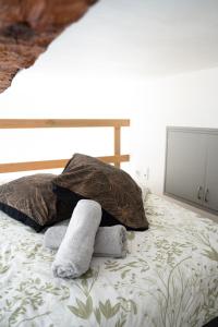 Appartements Studio elegant et cosy : photos des chambres