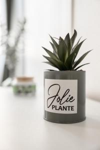Appartements Studio elegant et cosy : photos des chambres