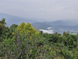 Snowberry Resort