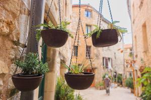 Appartements Apt Liberation - Apt standing Centre Tourrettes sur Loup : photos des chambres