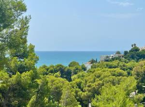Preciosa Villa rodeada de pinos con vistas al mar - ServHouse