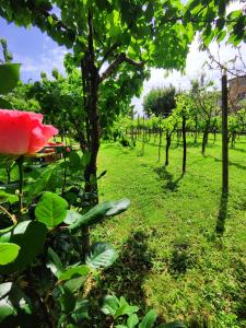 Garda Relais Antica Romelia