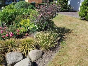 Wörtelhus Kamin Sauna Haustier