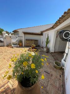 Villas Villa provencale Golfe St Tropez climatisee piscine chauffee, Spa, billard, Wifi haut debit pro : photos des chambres