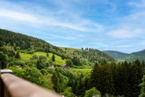 Gîte Le Pieraline - Ventron