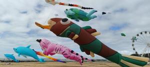 Maisons de vacances Charmante maisonnette proche plage : Maison 1 Chambre