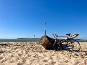 Maisons de vacances Le petit chai classe de tourisme 3 etoiles hyper centre La Tremblade : photos des chambres