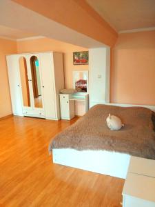 Apartment in the center