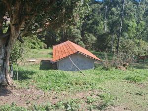 Sítio Recanto das Jaboticabeiras