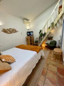 Villas Villa provencale Golfe St Tropez climatisee piscine chauffee, Spa, billard, Wifi haut debit pro : photos des chambres