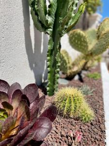 Villas Villa provencale Golfe St Tropez climatisee piscine chauffee, Spa, billard, Wifi haut debit pro : photos des chambres