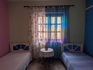 Ani Home Pogradec