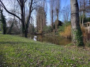 Maisons d'hotes Cozy Wooden Chalet in Abilly, France - Nature Lovers Paradise : photos des chambres