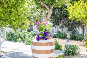 PERIVOLI 1-CHORA(5min away from the center by car)